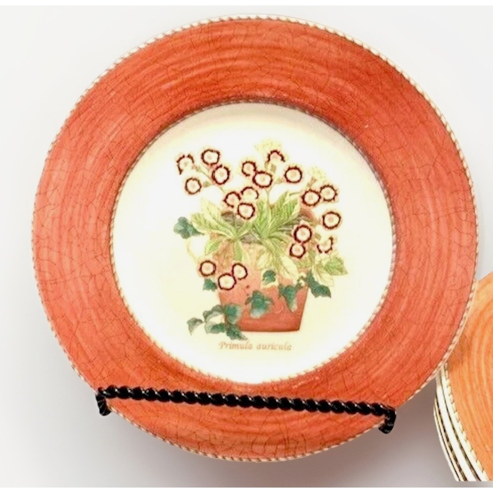 Wedgwood Sarahs Garden Plate 8 1/4 Primula 1997 VTG Side Salad Plates Terracotta